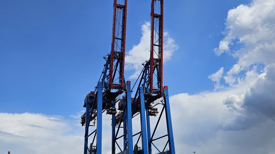Hohe Krähne im Hafen Hamburg