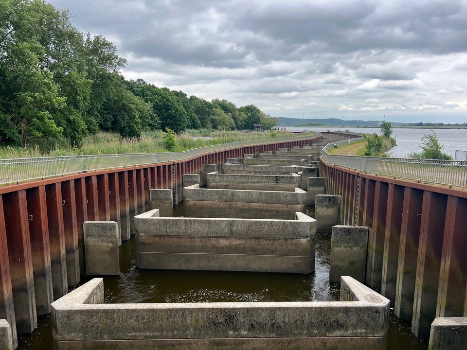 Fischaufstiegsanlage Nord