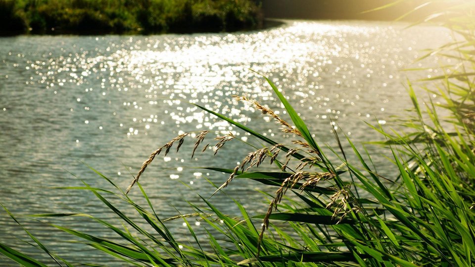 Glitzerndes Sonnenlicht auf einem Fluss