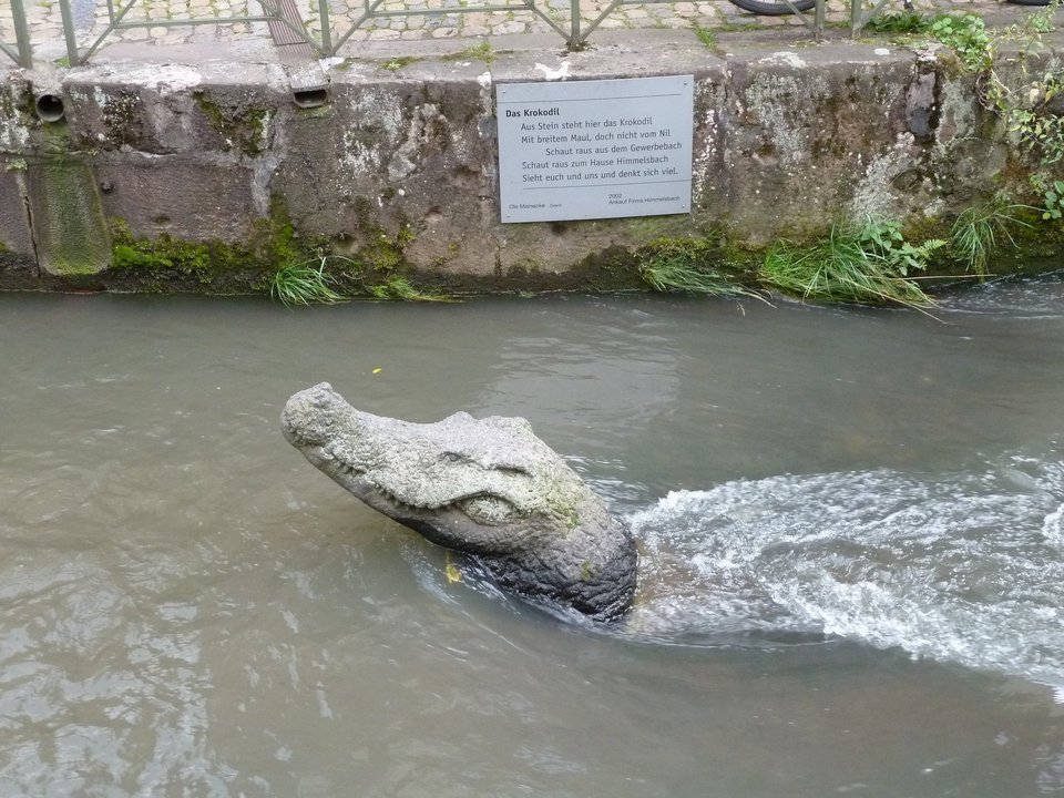 Krokodil im Freiburger Bächle