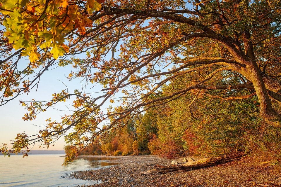 Uferlandschaft am Starnberger See.