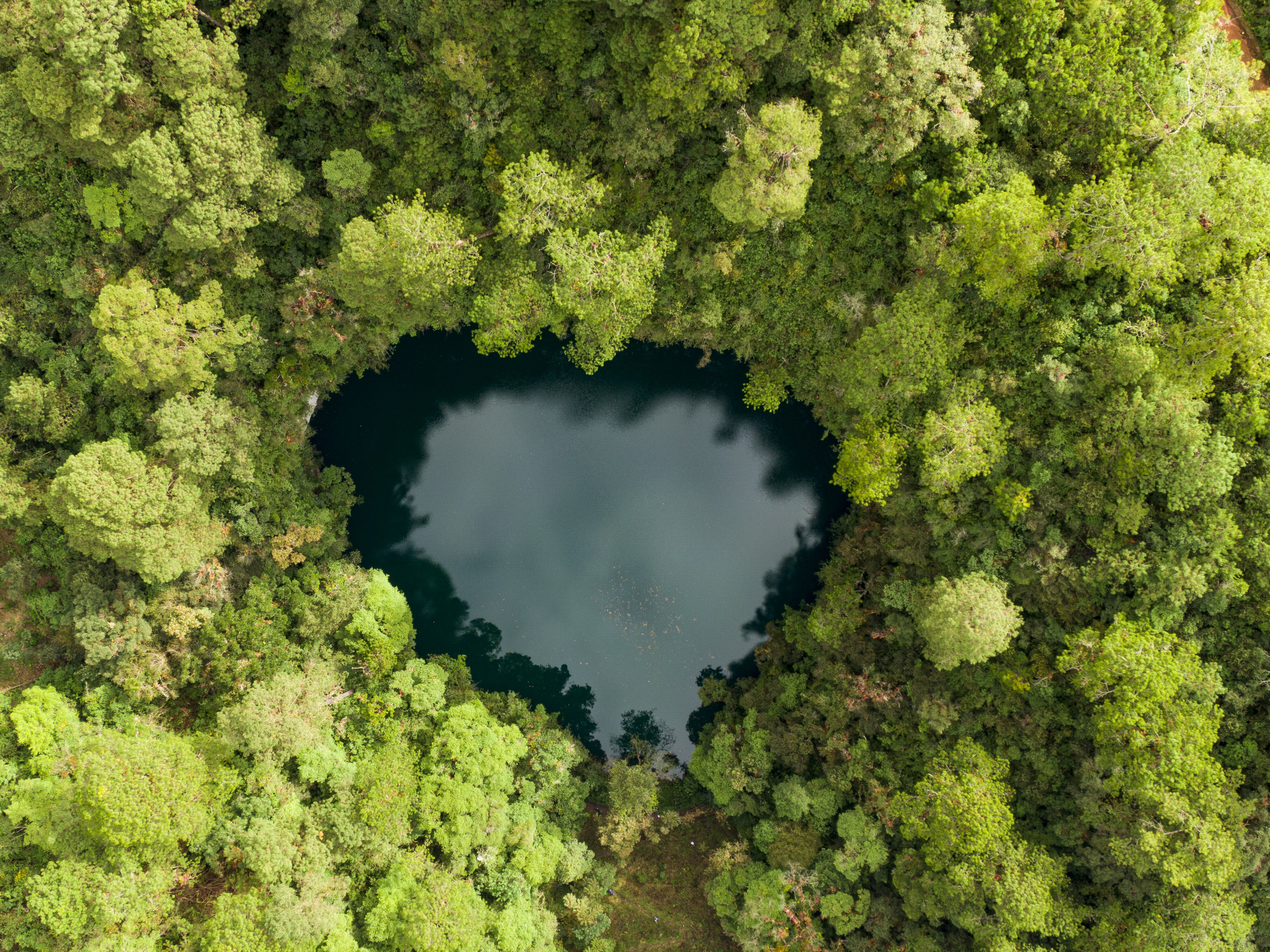 Herzförmige Cenote.